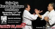 Workshop｜Eiichi Miyazato Karate technique workshop produced by Ageshio Japan