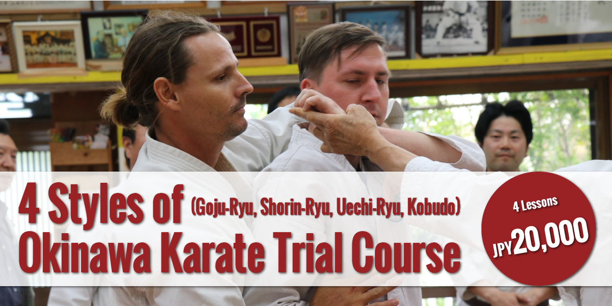 4 Styles of Okinawan Karate Trial Course Visit Karate Okinawa by