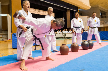 NEW WAVE 3 (For KATA)  Visit Karate Okinawa – by Ageshio Japan