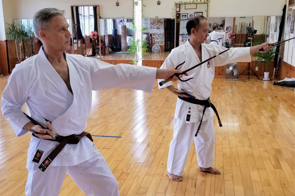 Weapon Training, Martial Arts