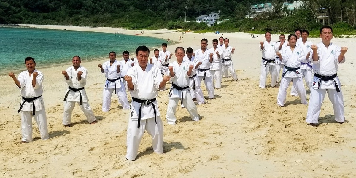 Martial Arts Training and Real Fighting